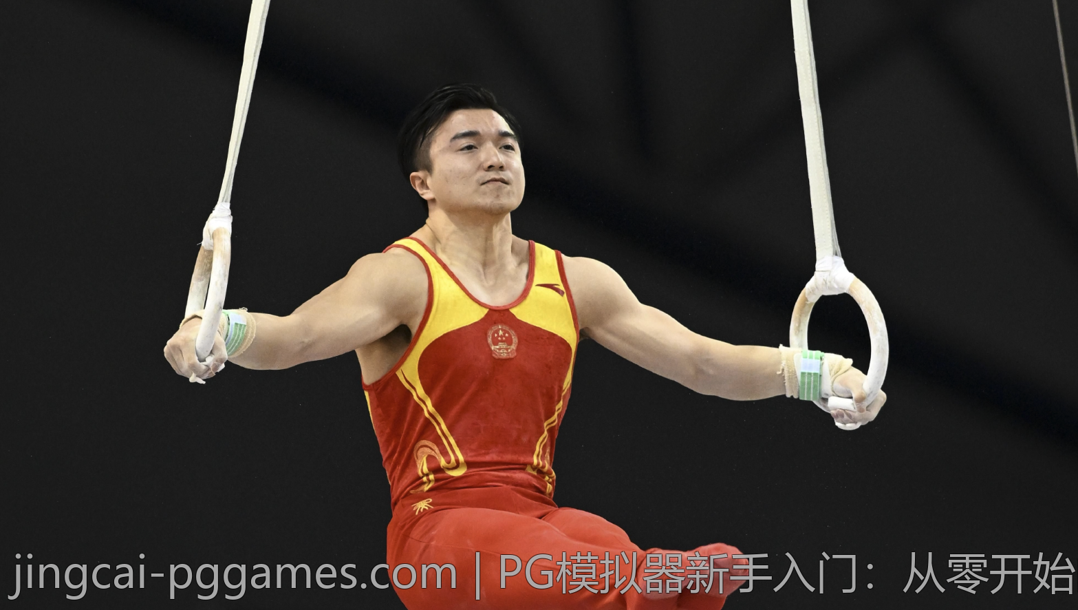 PG模拟器新手入门：从零开始的详细介绍