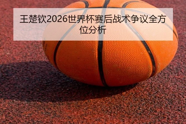 王楚钦2026世界杯赛后战术争议全方位分析