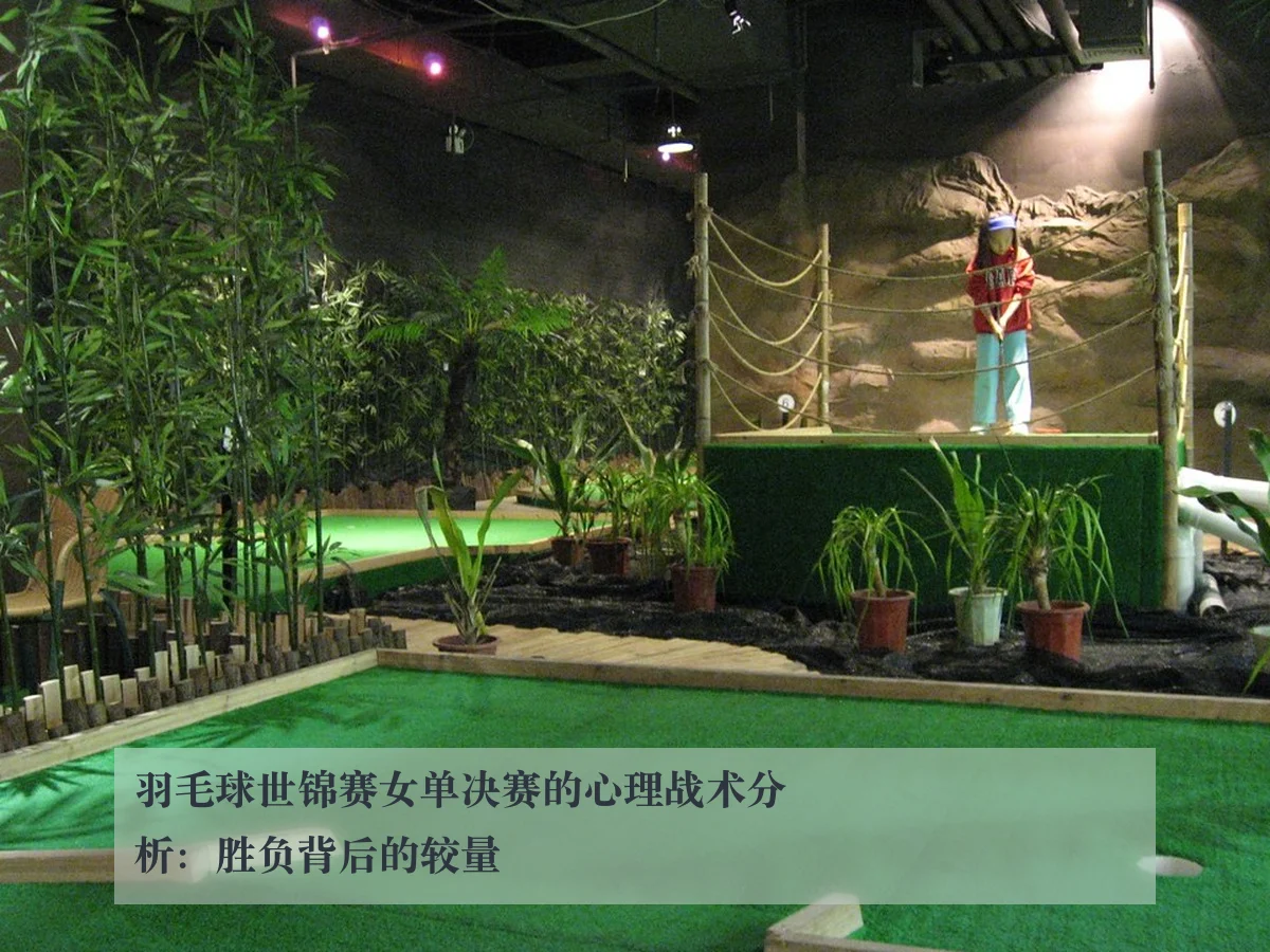 羽毛球世锦赛女单决赛的心理战术分析:胜负背后的较量